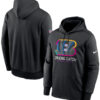 Bengals Crucial Catch 2024 Hoodie